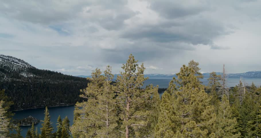 A forest is displayed by a lake