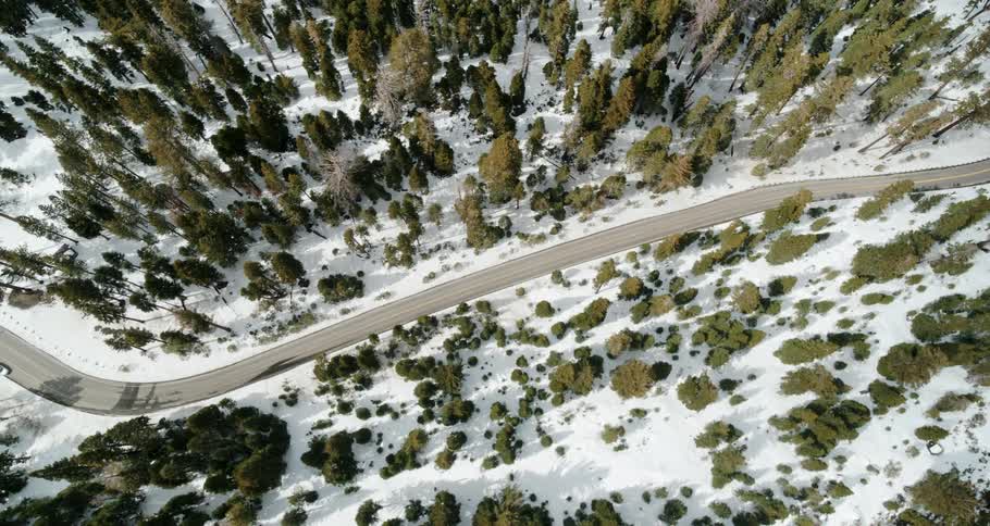 Cars travel on the highway through the forest