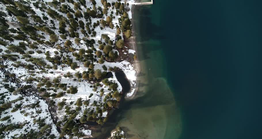 A birds eye view of a snowy lakeshore with pine trees