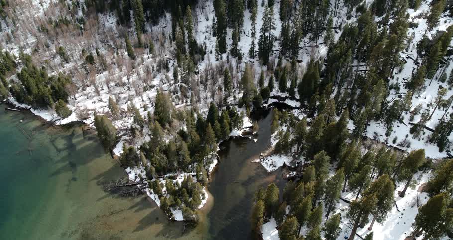 An inlet of a lake pokes into an evergreen forest at the bottom of a snowy hill