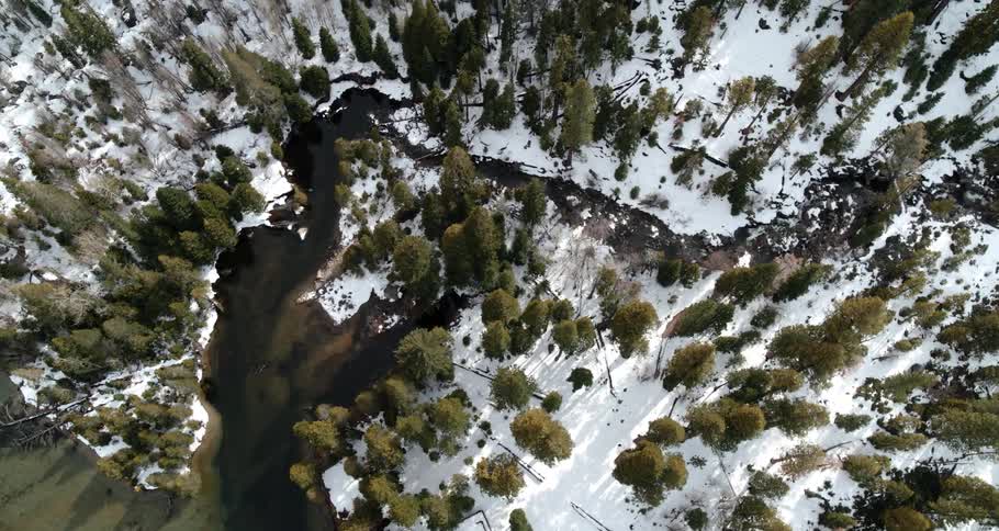 A narrow river runs through a snowy forest