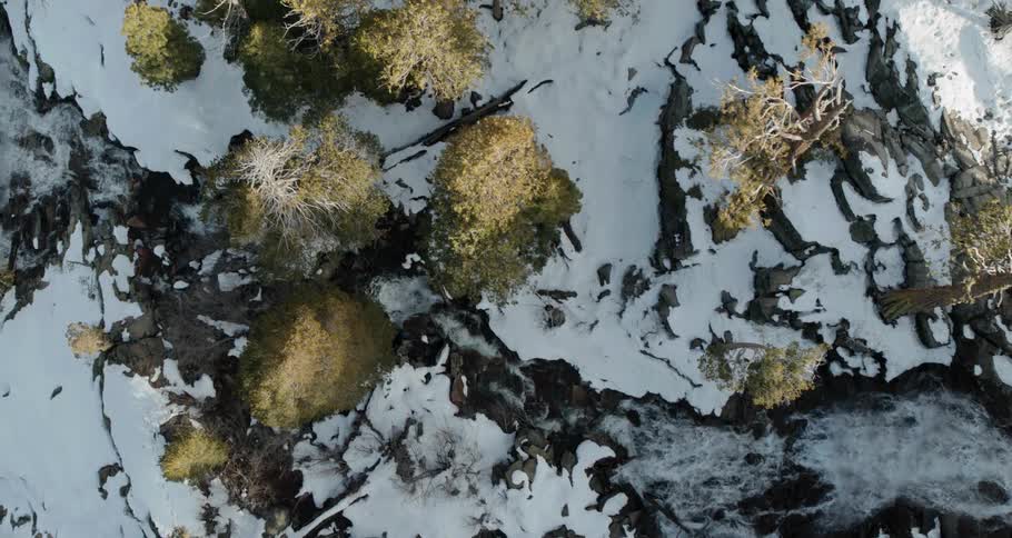Aerial view of a river flowing on a snow covered terrain between the pine trees