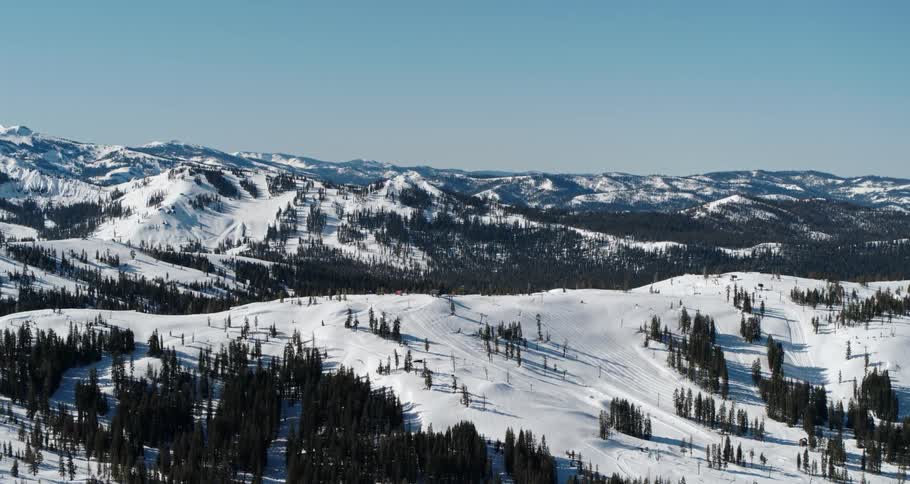 Aerial view of trees and a snow covered mountain