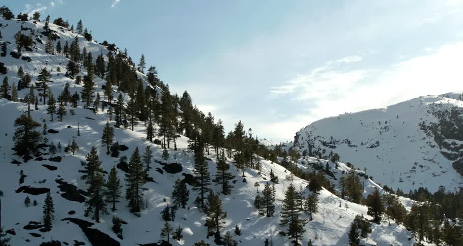 Snow and trees on a mountain range