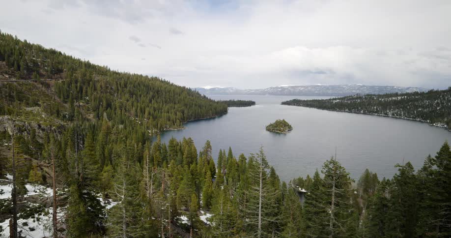 Trees are surrounding a lake in winter