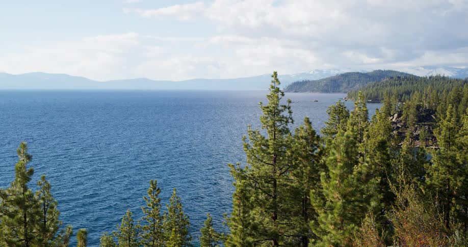 Landscape view of a lake and forest