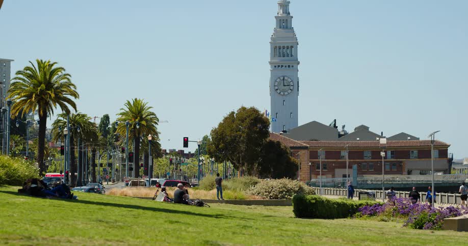 People walk jog and rest in a public park lined with palm trees