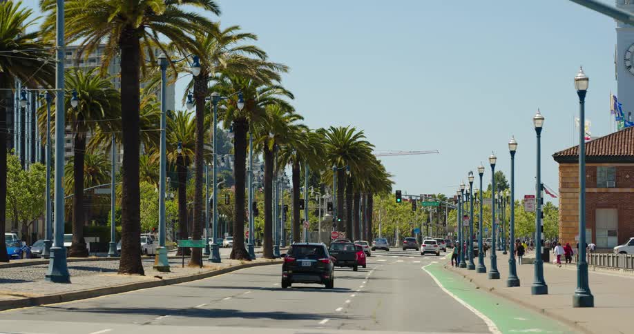Pedestrians walk next to palm tree lined street traffic is flowing along