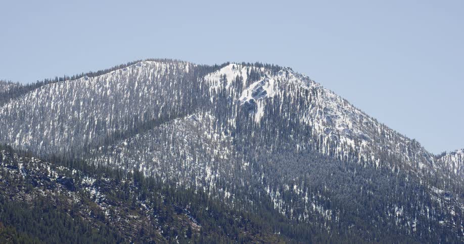 Snow on a mountain with trees