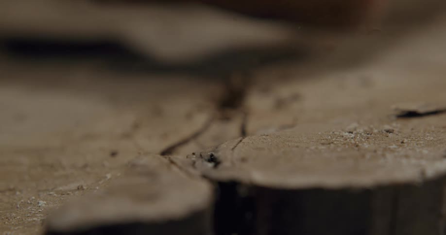 A man chisels at a tree trunk