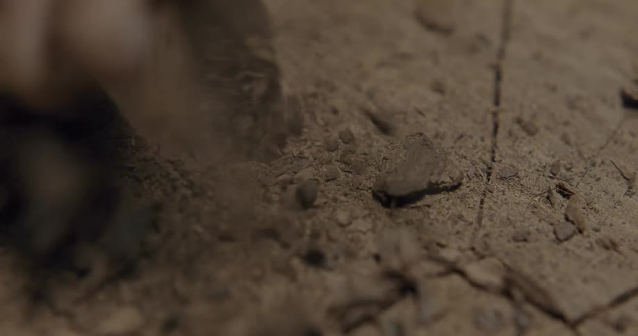 Person carves woods taking time to remove particles from hollow
