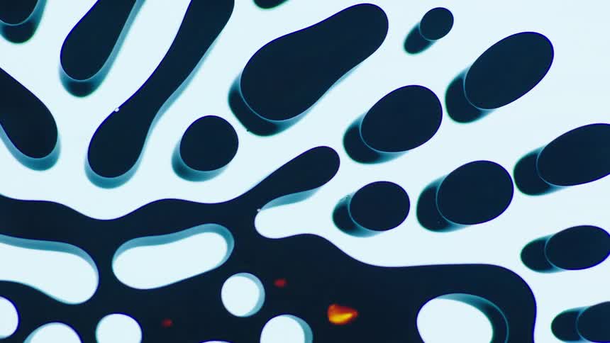 Computer graphics on a monitor