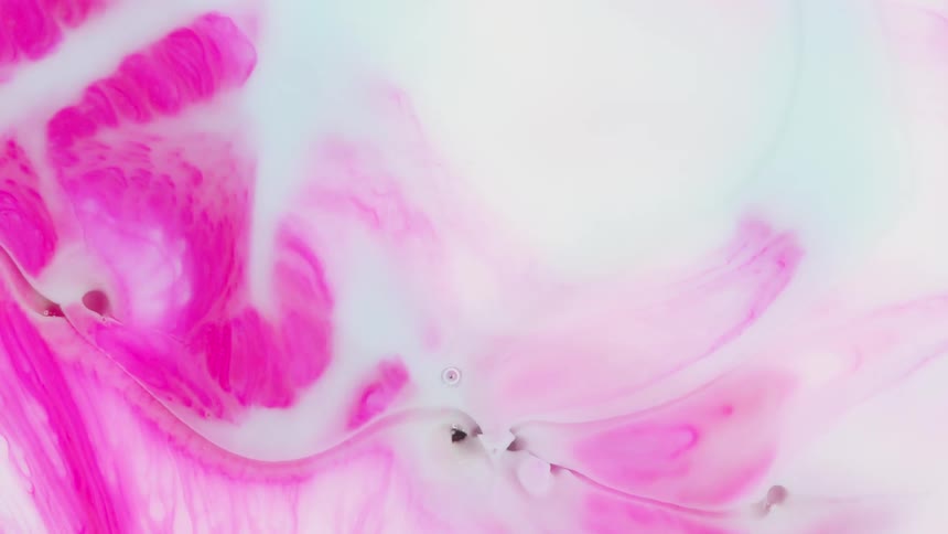 Petals on a pink flower are magnetized under a microscope