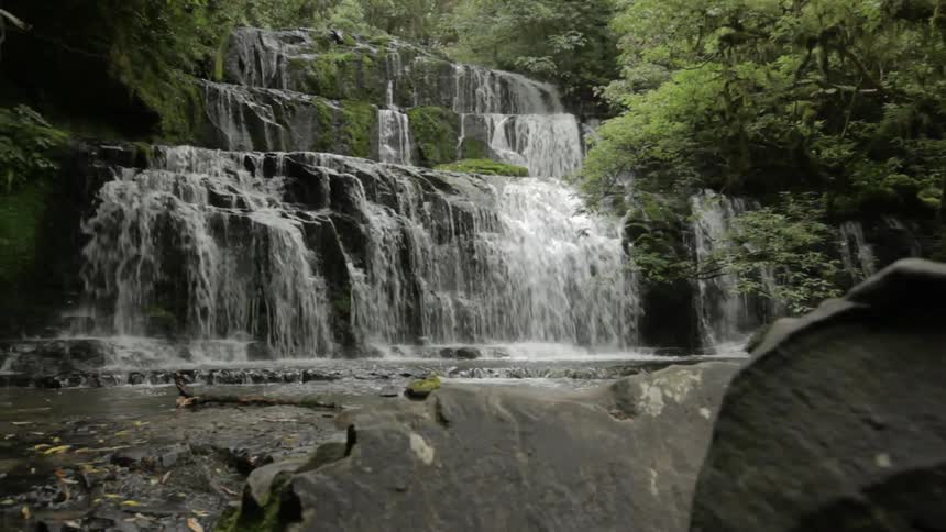 A waterfall in a green forest