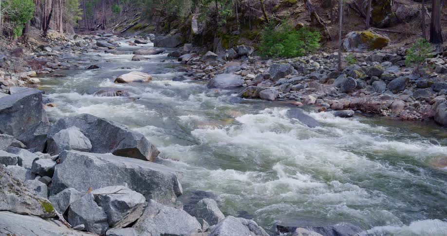 A river flows over rocks in a forest