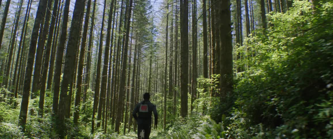 A man jogs down a forest trail