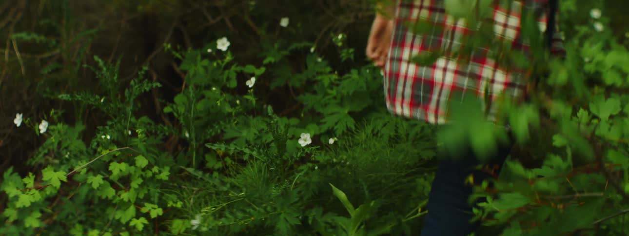 A woman hiking through a forest