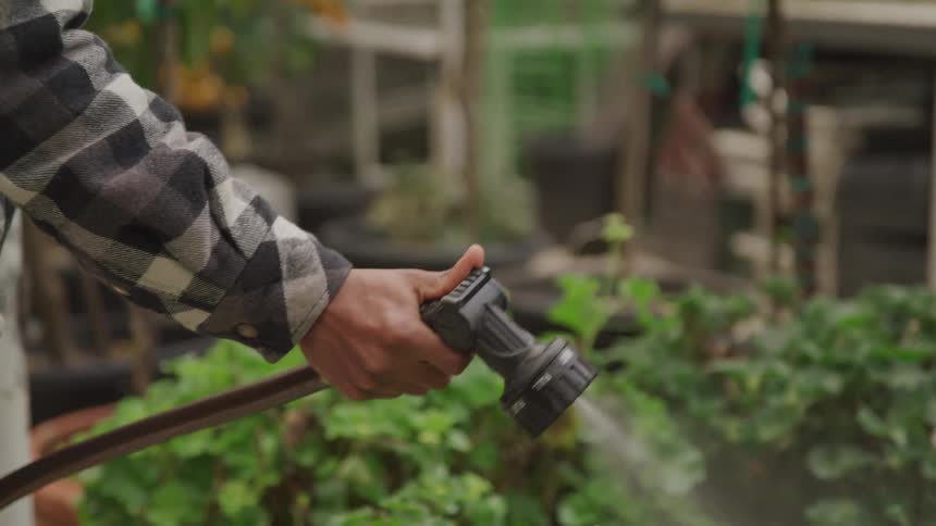 Man sprays water on a garden using a garden hose and sprayer attachment