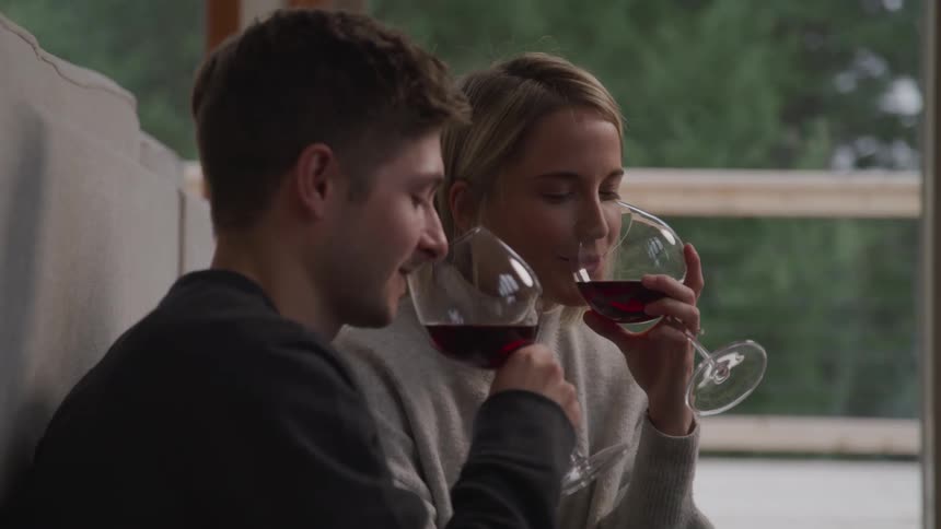 A man and woman toast before drinking red wine together