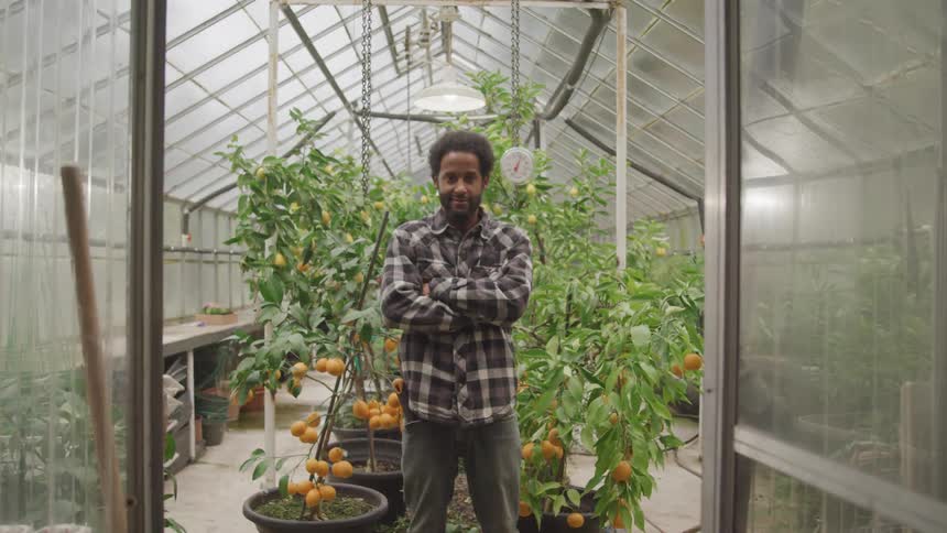 A man stands in front of orange trees in a greenhouse and smiles