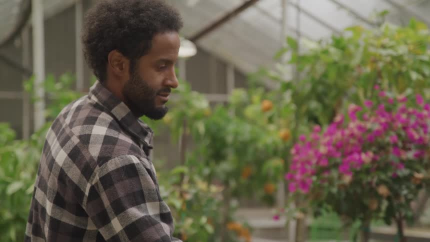 A man watering plants inside a greenhouse