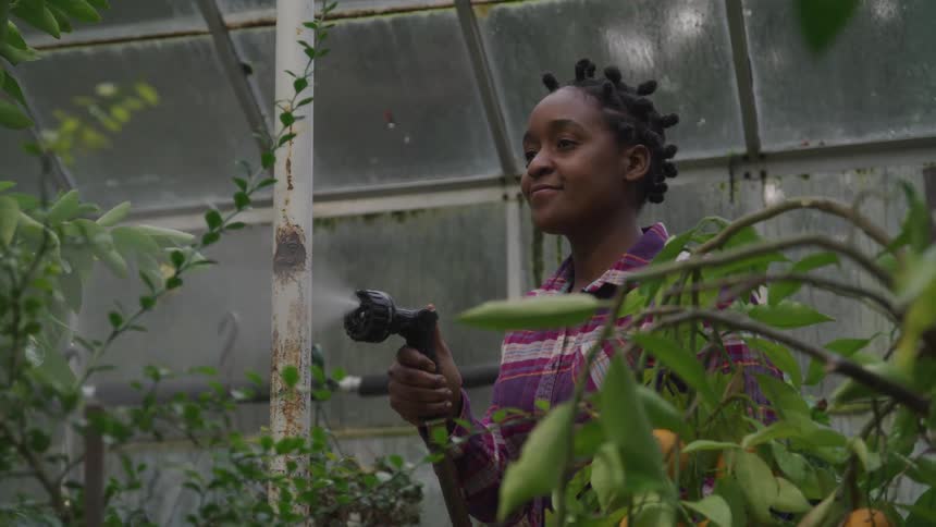 A woman uses a hose to water plants in a greenhouse