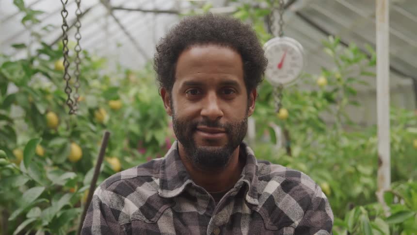 A gardener standing in front of lemon trees in a greenhouse