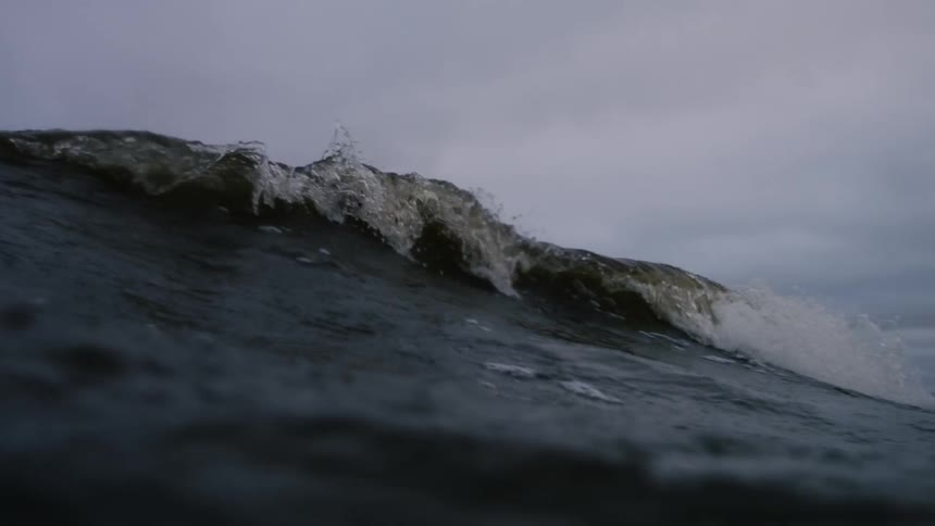 A wave slowly rises and crashes
