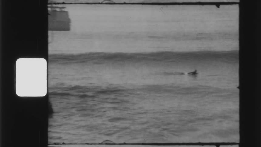 A person on the beach in the water laying on a surfboard and paddling