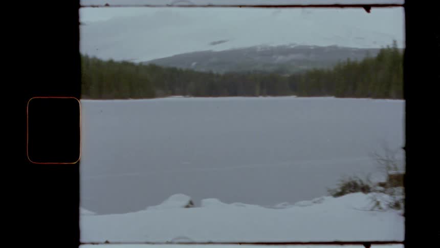 A thick blanket of snow covers the field in front of a forest