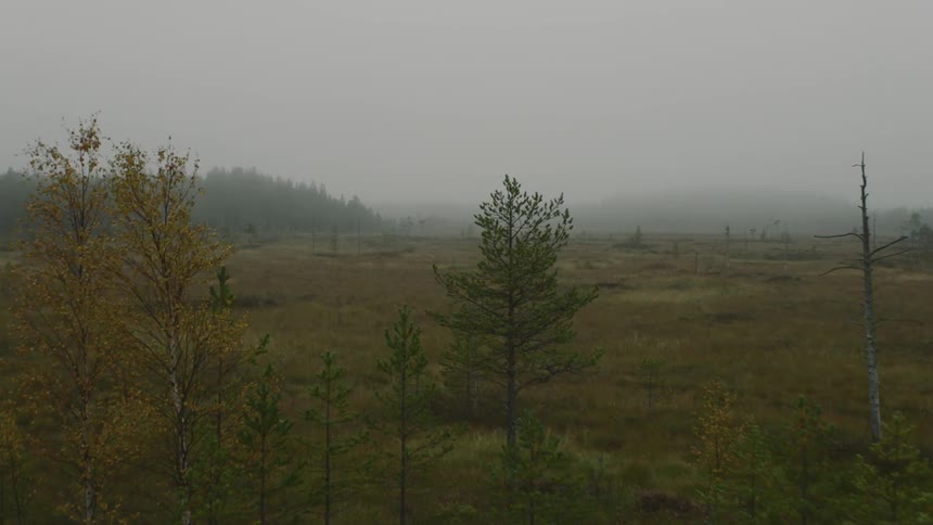 Aerial view moving over a large field with trees and fog all over