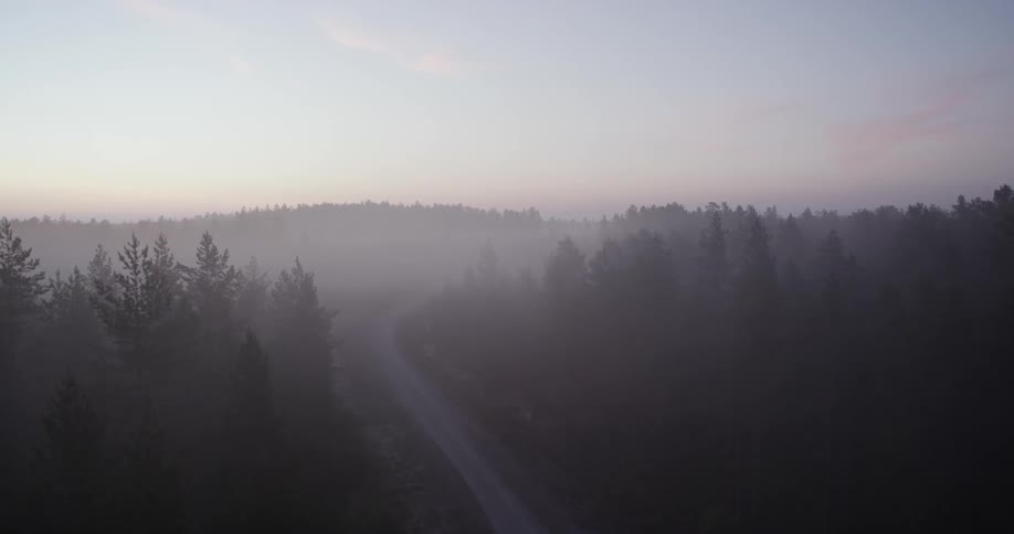Fog In Autumn