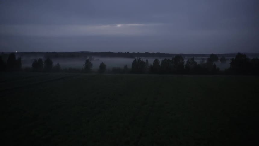 Fog In Autumn