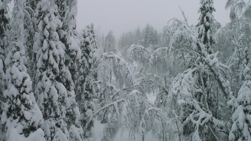 Snow