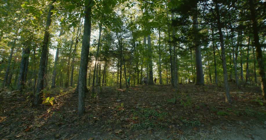 Four kids running in a forest