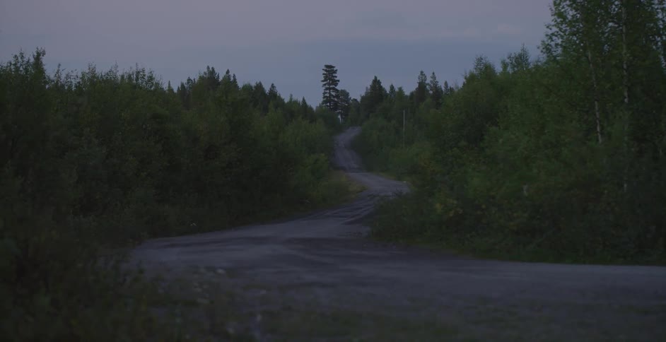 A winding road cuts through a forest
