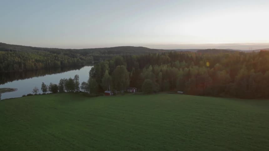 A river flows through a forested area