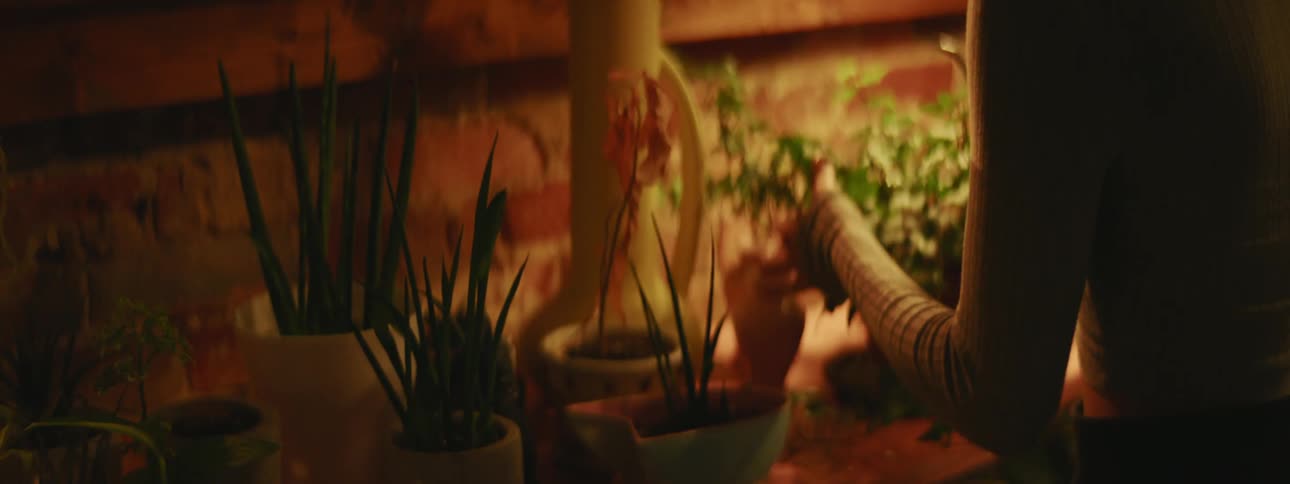 A woman with a sweater watering plants with a brick wall in the background