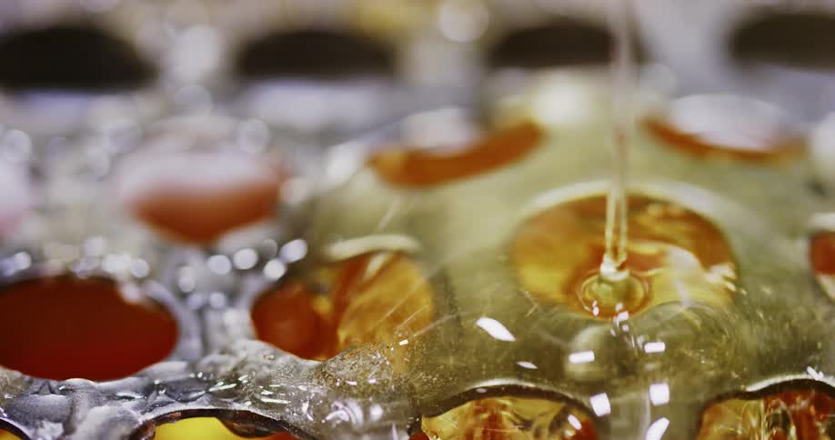 A viscous liquid is poured into a hole on a metal sheet with several same sized holes