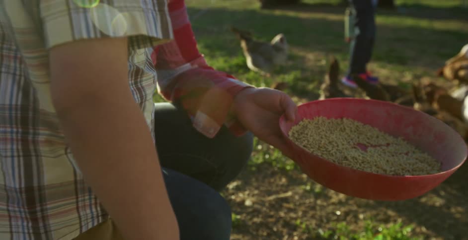 A kneeling woman takes a handful of bird feed and tosses on the ground as she stands with a child near free ranging chickens