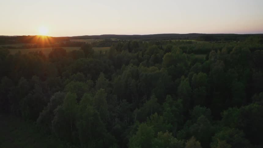 Summer Sunset