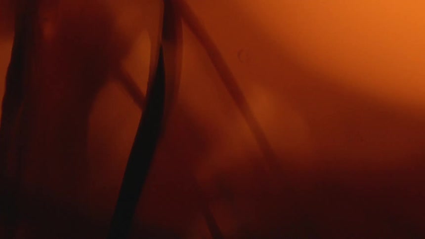 An orange flame