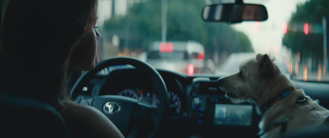 A woman in her car pets her dog in the passenger seat as she is stopped at a red light