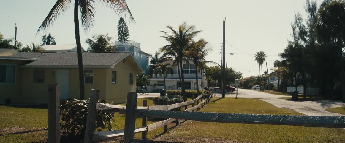 Palm trees and houses on a small tropical town