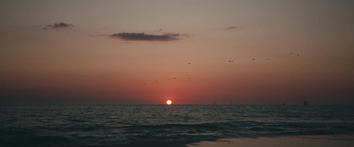 A beach with birds flying in the air with a sunset the sky and clouds in the background