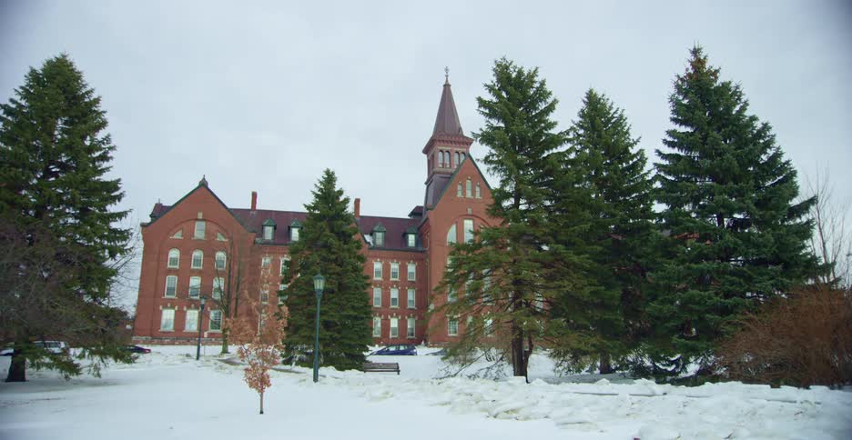 Pine trees in front of a brick building in the snow at winter
