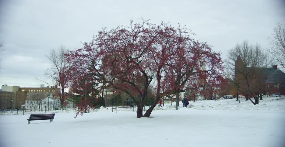 A group of children walk with backpacks in the snow of a small town