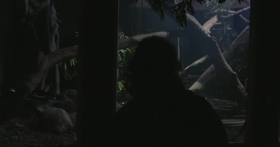 A woman is viewing something in a dark area