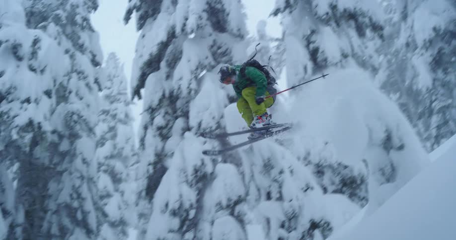 A skier jumps through a forest, tapping a snowy tree