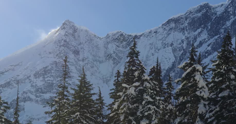 Snowy peaks tower above a forest